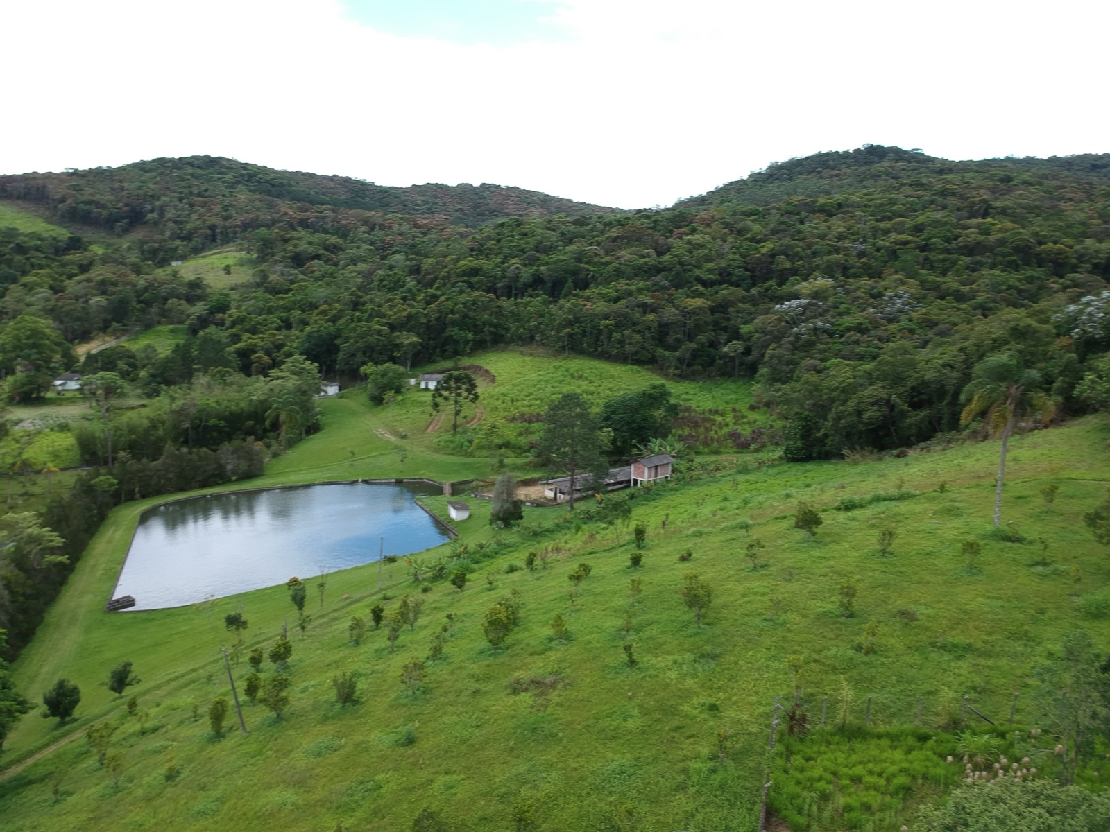 Pomar do sítio - opção diária as duas casas